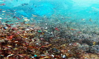 Microplastics contamination in oceans and waterways