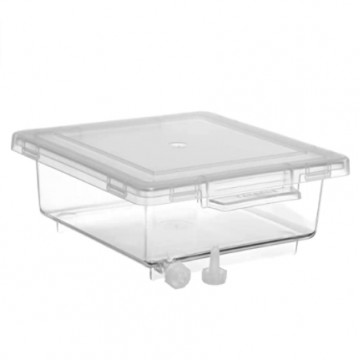 Bel-Art Clear PMP Gel Staining Box with Plastic Cover; 5 x 5 x 2 in.