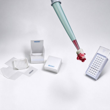Bel-Art Bundle 2: Cell Culture Starter Pack 